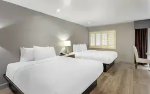 1 room Patio Double Suite