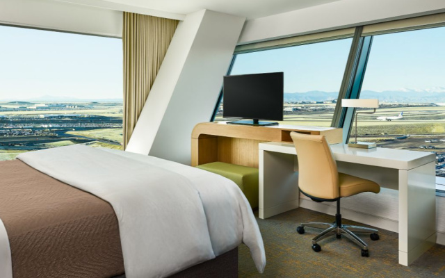 1 Bedroom Executive Double Suite