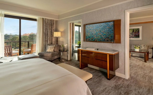 1 Bedroom Suite with balcony and with lake view