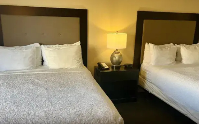 1 Bedroom Deluxe Apartment