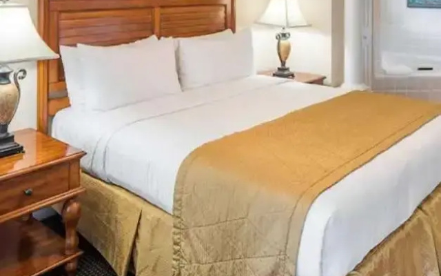 3 Bedrooms Suite