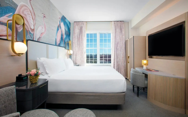 1 Bedroom Luxury Suite