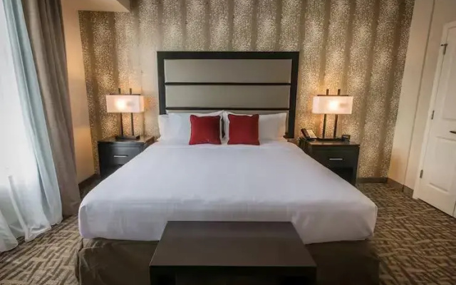 1 Bedroom Suite