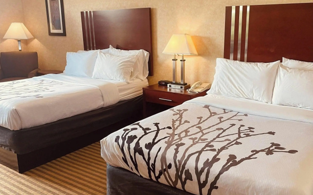 Accessible Twin room