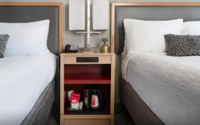 Deluxe Accessible Twin room