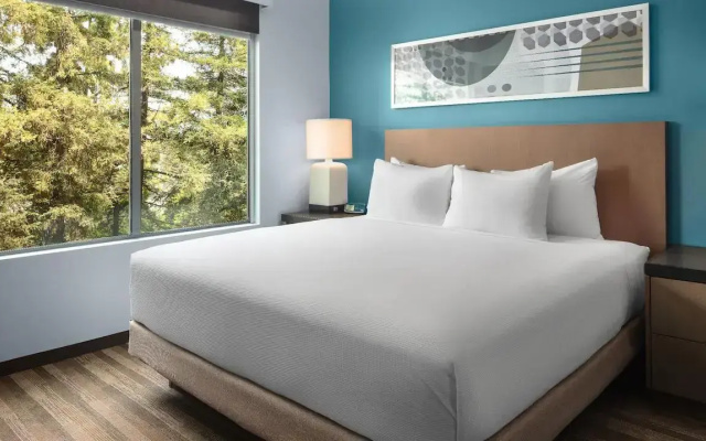 1 Bedroom Accessible Suite