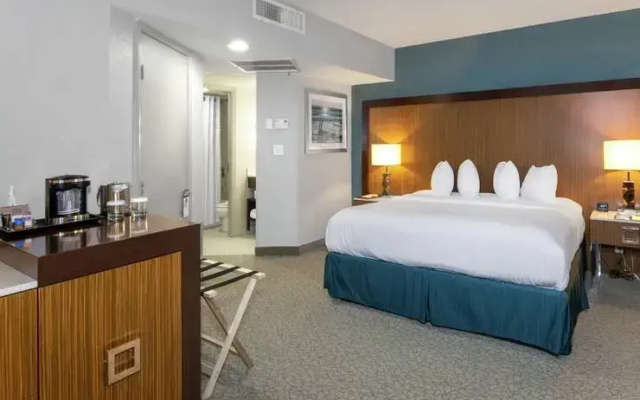 Double Studio Suite