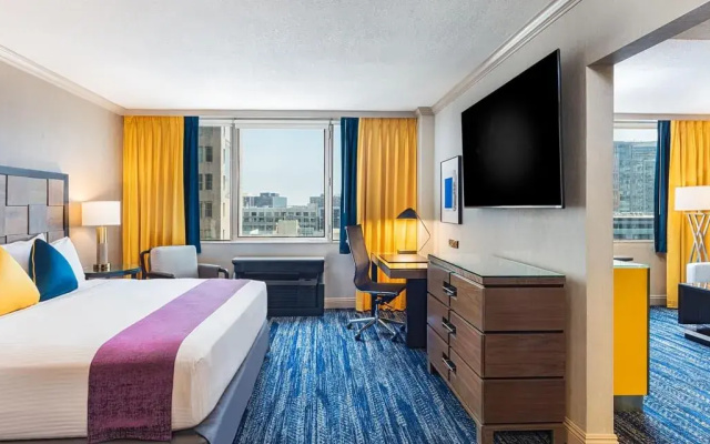 Executive Double Suite