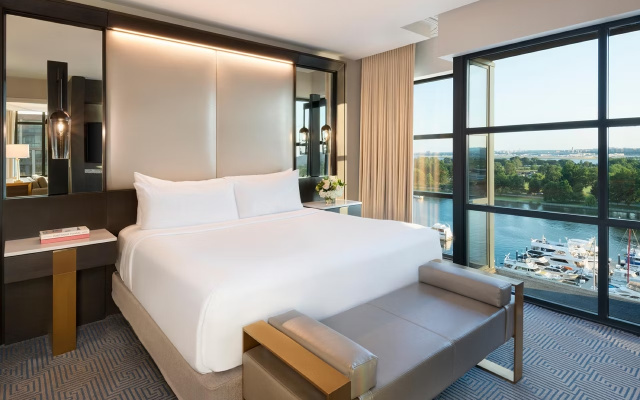 Anchor Suite