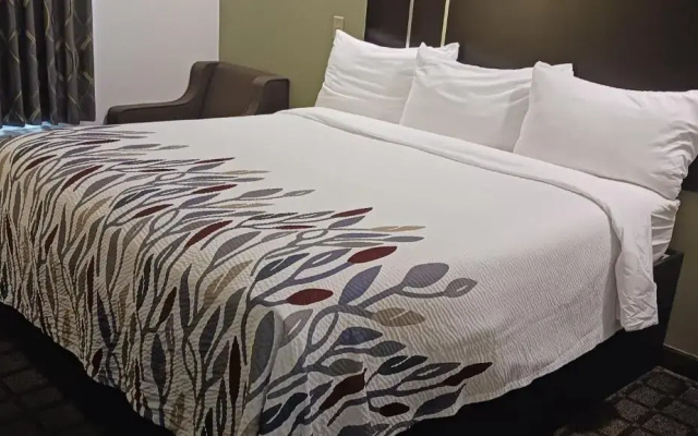 Superior with Kitchenette Double room