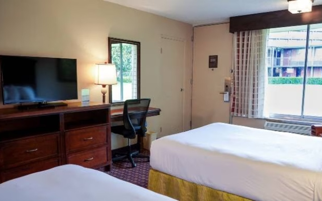 Accessible Twin room