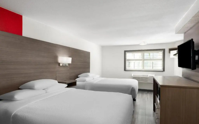 Pet Friendly Quadruple room