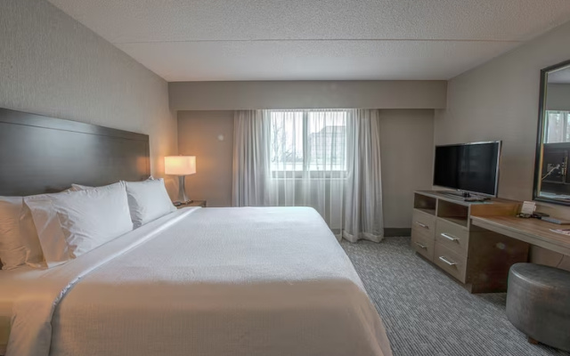 2-room Executive Quadruple Suite