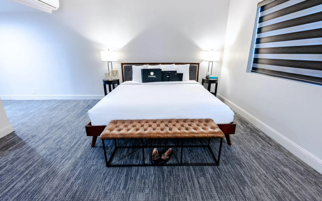 Double Studio Suite