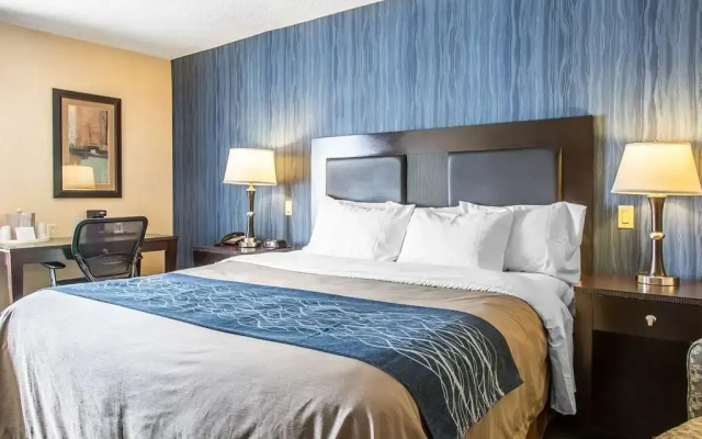 photo 4 of Comfort Inn & Suites