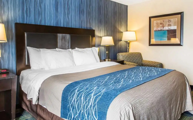 photo 5 of Comfort Inn & Suites
