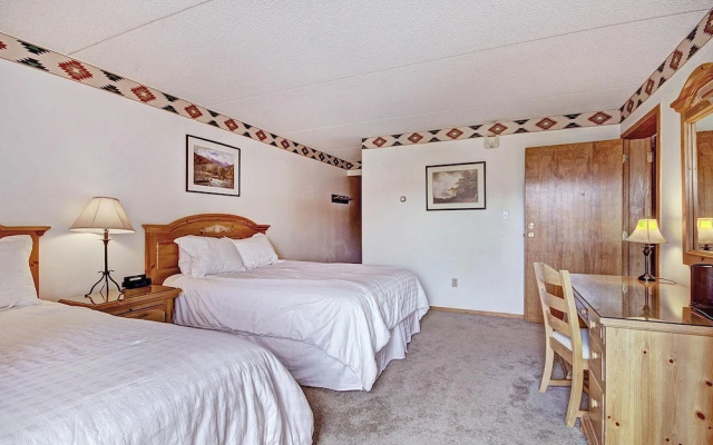 photo 3 of Roomy Condo with Great Amenities - VS438 by RedAwning