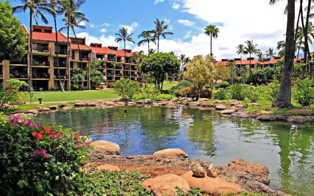 photo 5 of Maui Kamaole #G-101