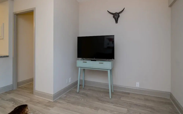 photo 5 of 1 Bedroom Downtown Condo