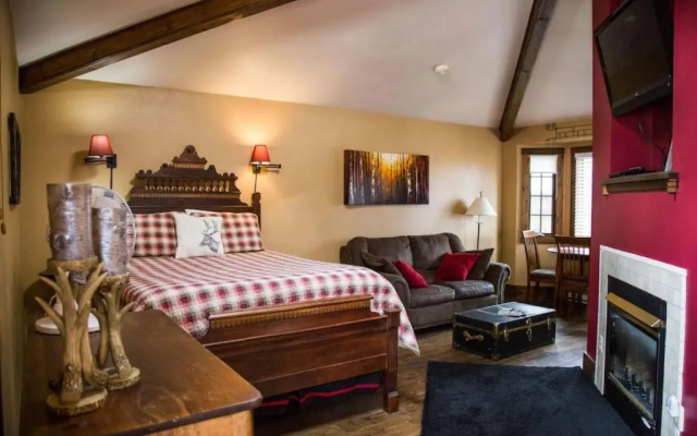 photo 4 of 1 Bedroom Suite with fireplace Dogs OK