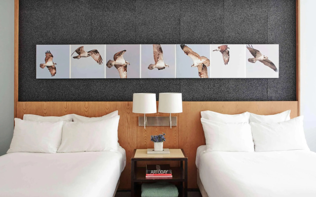 photo 3 of 21c Museum Hotel Louisville
