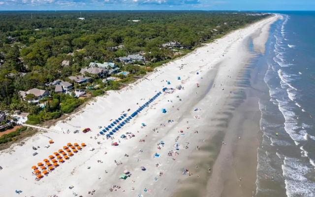 photo 4 of 23 Red Cardinal Oceanfront Sea Pines