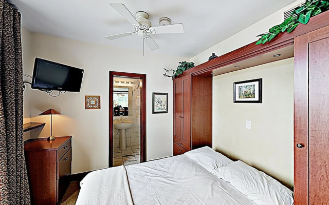 photo 5 of 3-Bedroom Ski-In/Ski-Out