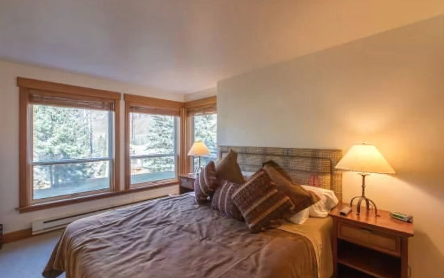 photo 5 of 4-Bedroom 4-Bath ski-in/ski-out Condo in Vail