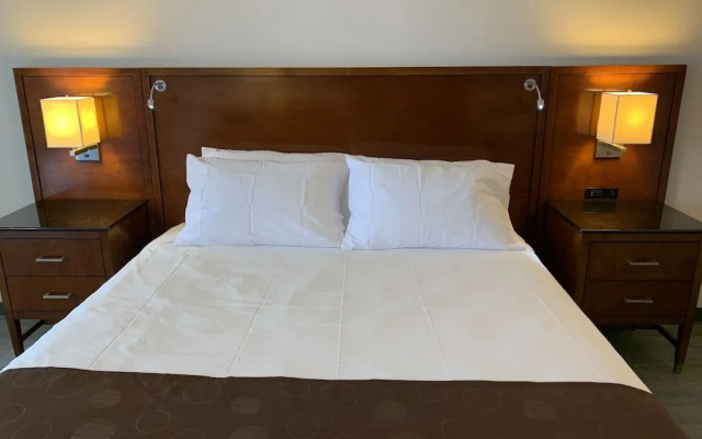 photo 5 of The Retro Hotel