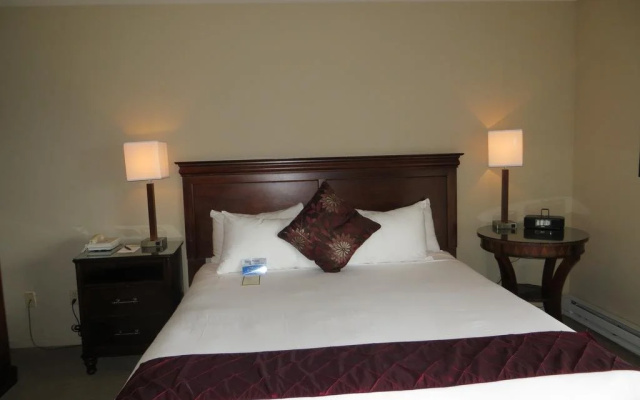 photo 3 of Adobe Inn