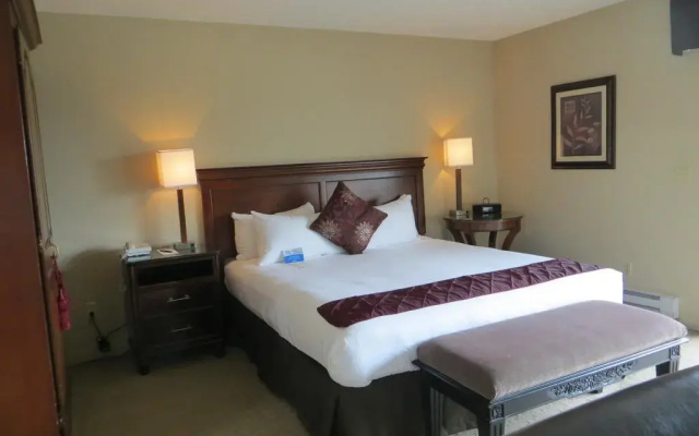 photo 5 of Adobe Inn