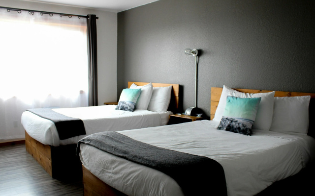 photo 4 of Adrift Hotel