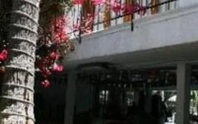 photo 3 of Adventurer Hostel