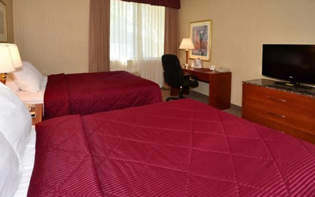 photo 3 of Airport Inn