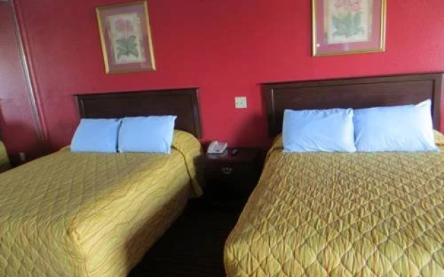 photo 5 of Palace Inn