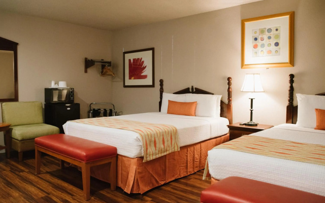 photo 4 of Alamo Inn & Suites