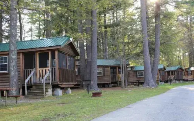 photo 5 of Alpine Lake Lakefront Cabin 6