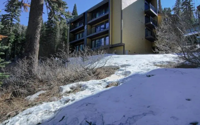 photo 5 of Alpine Meadows Condo