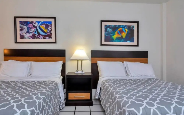 photo 5 of Amazing 1br apartment with pool, Hallandale Beach!