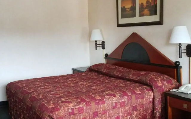 photo 3 of Shelaine Inn