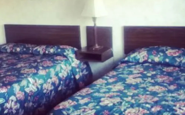 photo 3 of Ambassador Motel