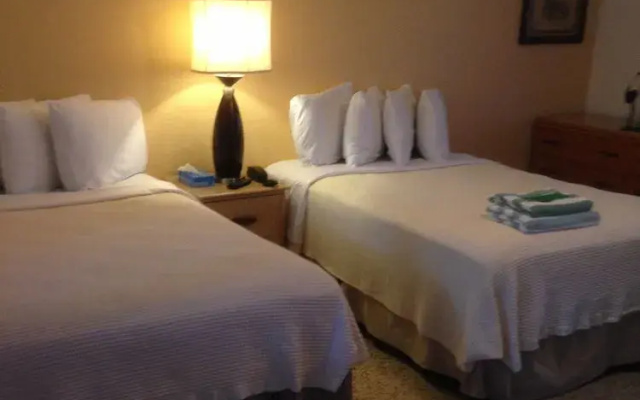 photo 5 of Amber Tides Motel