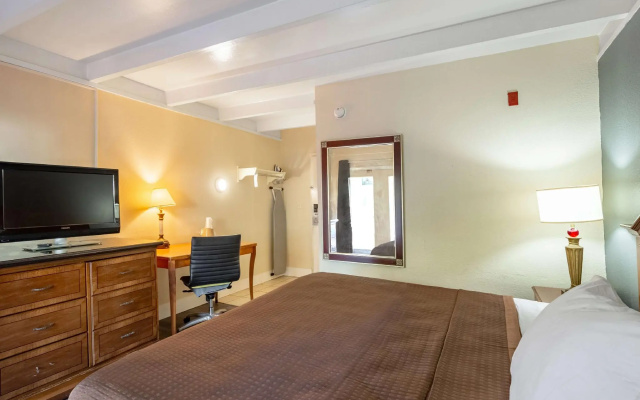 photo 4 of Clearwater Hotel