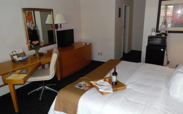 photo 2 of Haven Hotel Pompano Beach