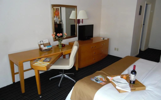 photo 4 of Haven Hotel Pompano Beach