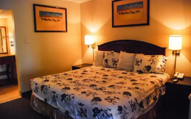 photo 2 of Americas Best Inn & Suites Arlington, Tx