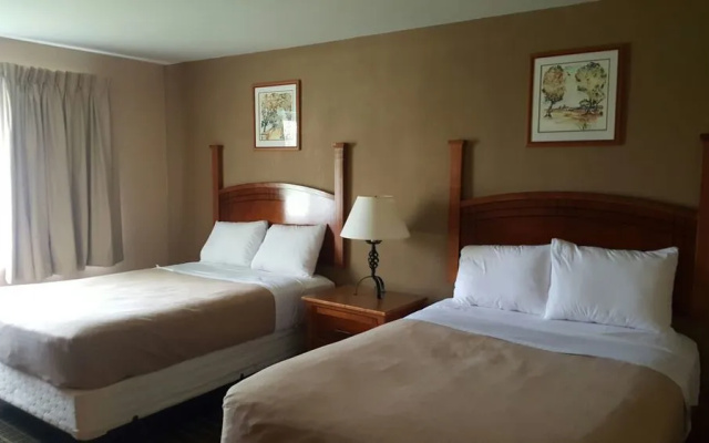 photo 5 of Rodeway Inn