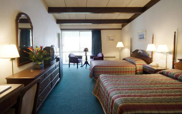 photo 3 of Red Roof Inn Madison Heights, VA
