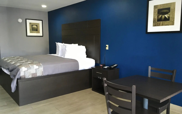 photo 3 of Americas Best Value Inn Denham Springs Baton Rouge
