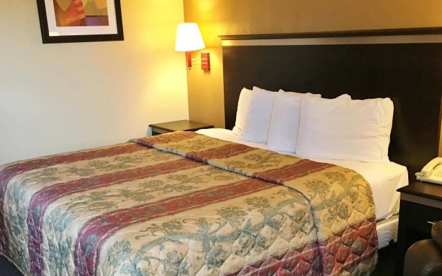 photo 4 of Sleep Inn Franklin - Cool Springs